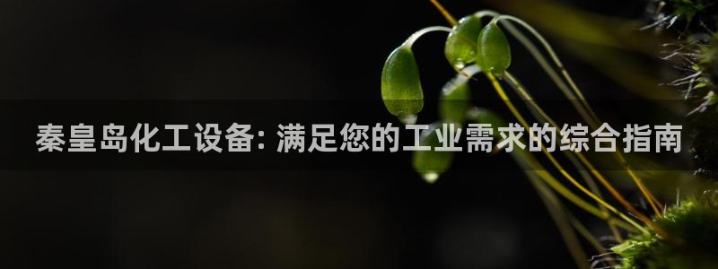 门徒平台能提款吗安全吗：秦皇岛化工设备: 满足您的